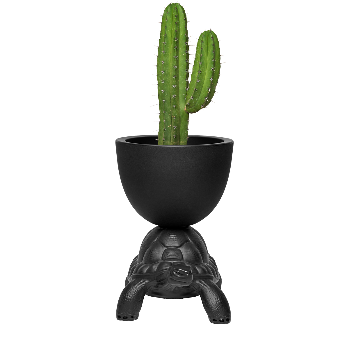 For the green to flourish and the bottles of the champagne are freshly uncovered, you need something in the crust and here Qeeboo Turtle comes to the rescue! Turtle Carry Planter designed by Marcantonio will make the whole trick, wearing a container on his armor, suitable for cooling champagne and for storing plants and succulents.