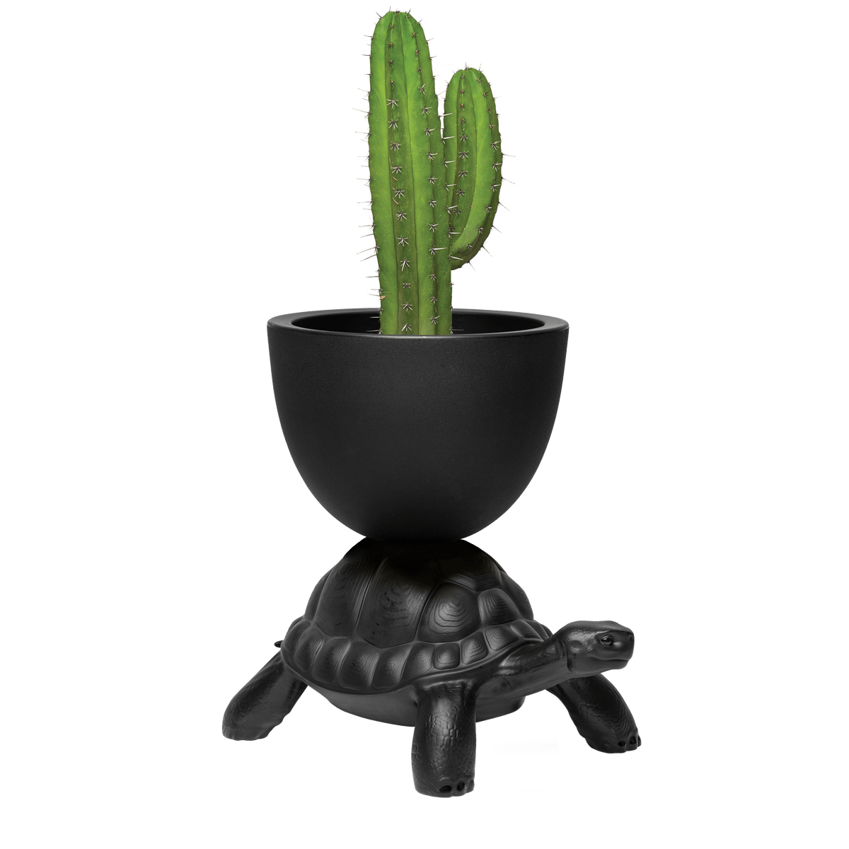 For the green to flourish and the bottles of the champagne are freshly uncovered, you need something in the crust and here Qeeboo Turtle comes to the rescue! Turtle Carry Planter designed by Marcantonio will make the whole trick, wearing a container on his armor, suitable for cooling champagne and for storing plants and succulents.