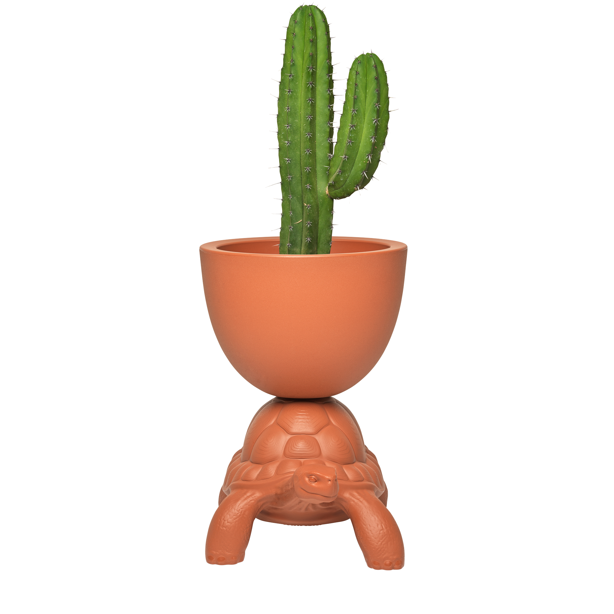 TURTLE CARRY terracotta flowerpot, QeeBoo, Eye on Design