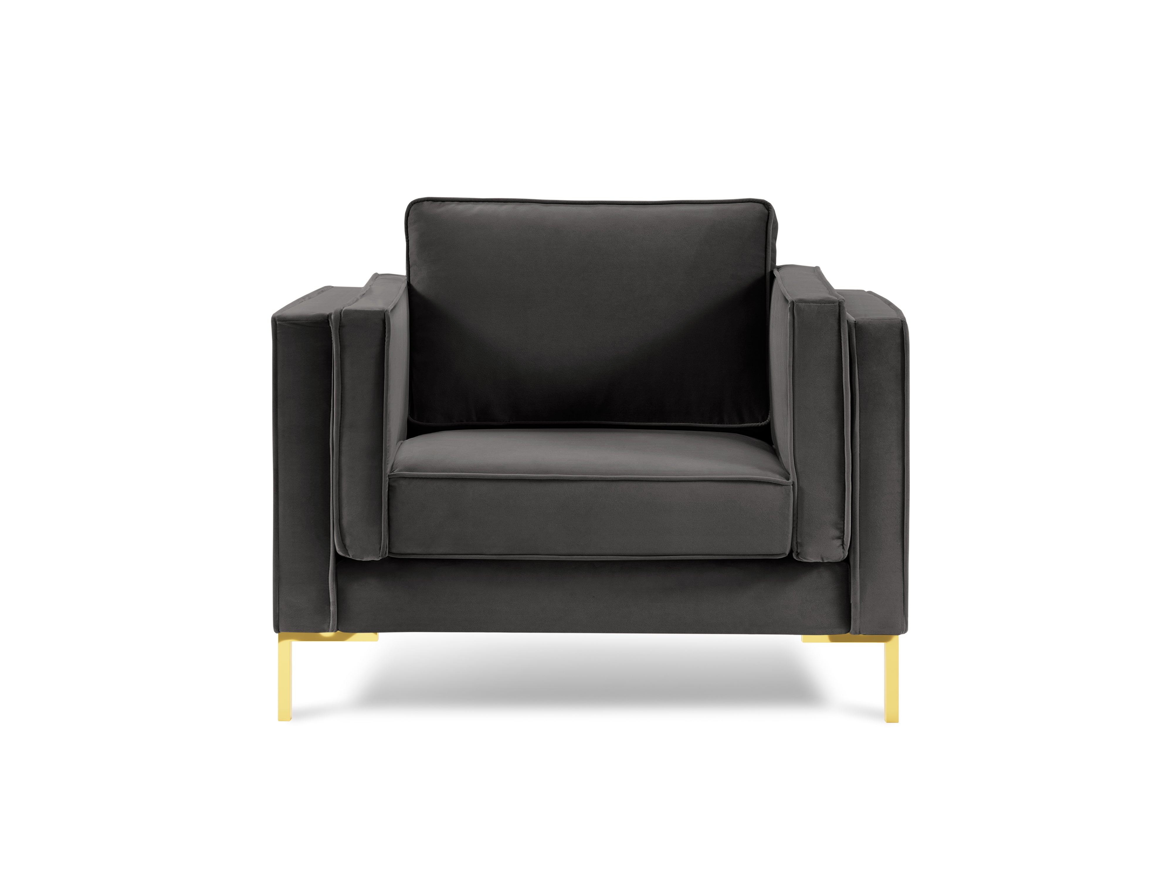 LUIS dark grey velvet armchair with gold base