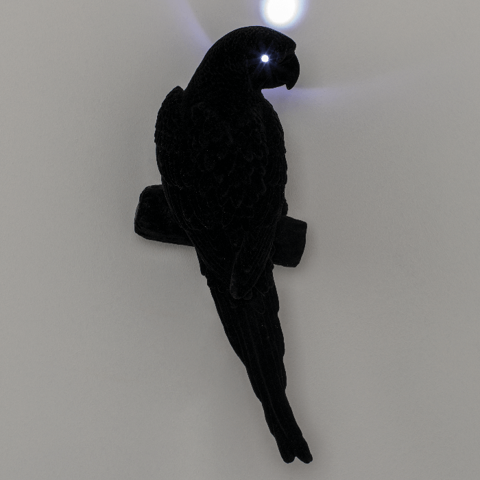 A decorative parrot -shaped lamp, which introduces a healthy dose of humor into any interior. During the day, it is an accessory, it turns into an extravagant bird with a light radiating from the eyes at night.