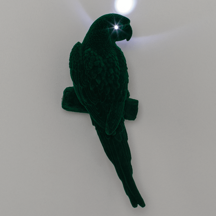 A decorative parrot -shaped lamp, which introduces a healthy dose of humor into any interior. During the day, it is an accessory, it turns into an extravagant bird with a light radiating from the eyes at night.